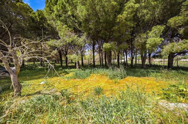 2 makuuhuone Huvila myytävänä paikassa Chiclana de la Frontera - 199 990 € (Ref: 9812328)
