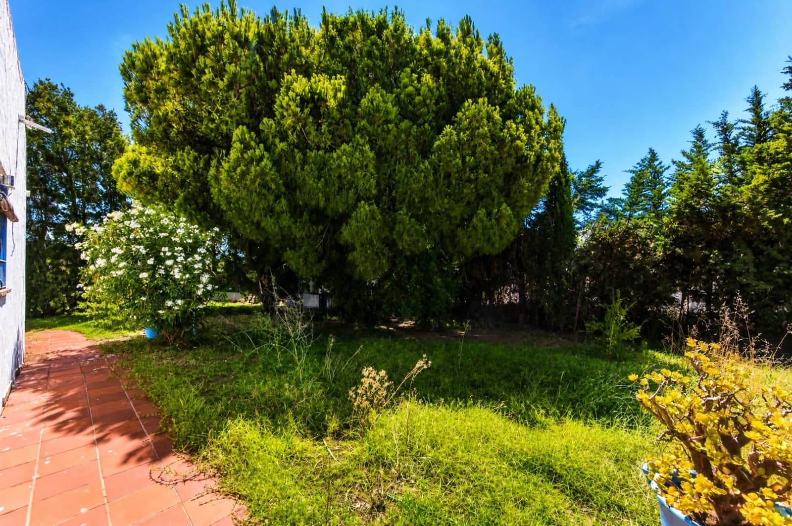 3 quarto Moradia para venda em Chiclana de la Frontera com piscina - 179 990 € (Ref: 9970800)