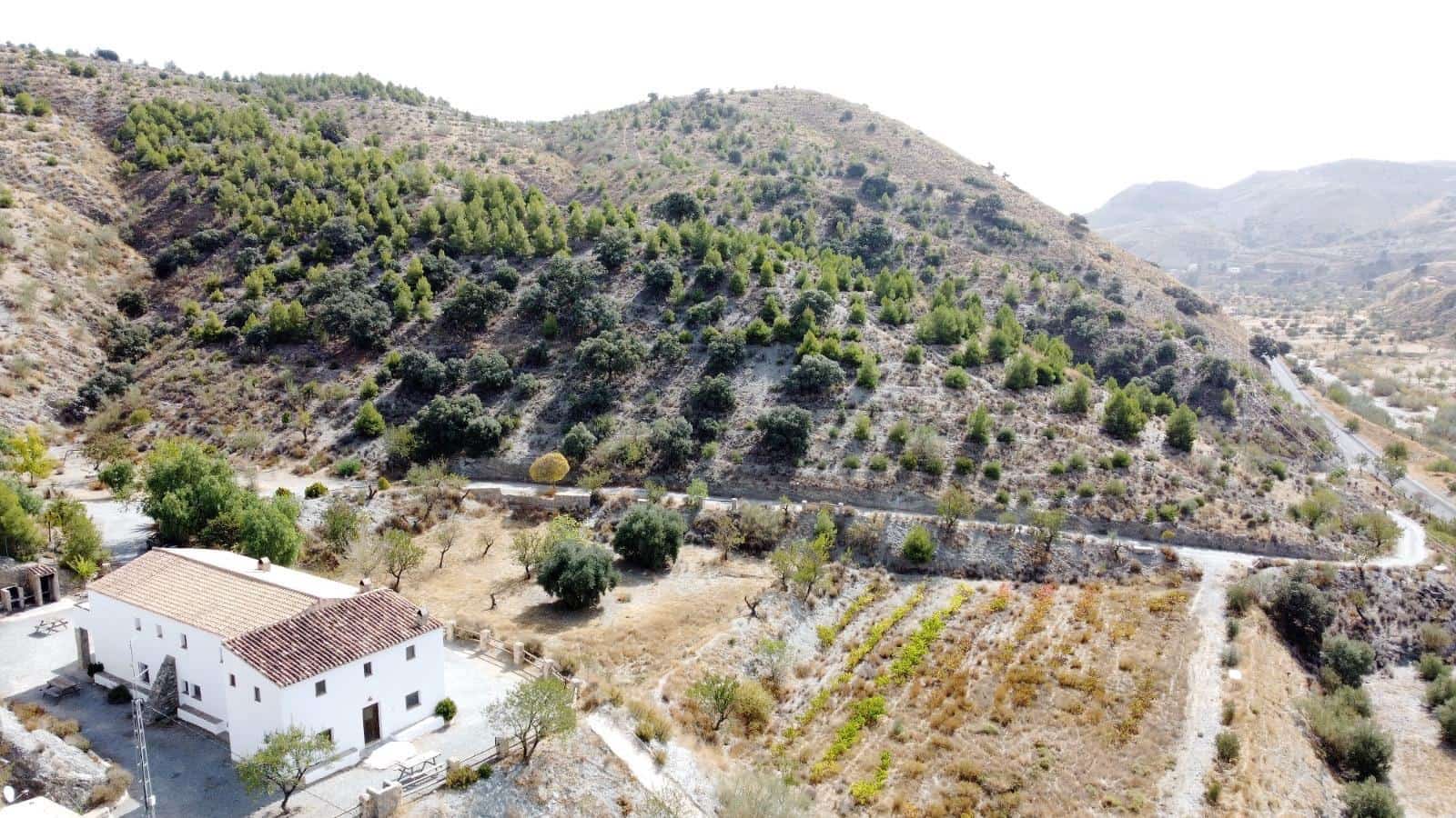 8 bedroom Finca/Country House for sale in Taberno with pool garage - € 440,000 (Ref: 4174034)