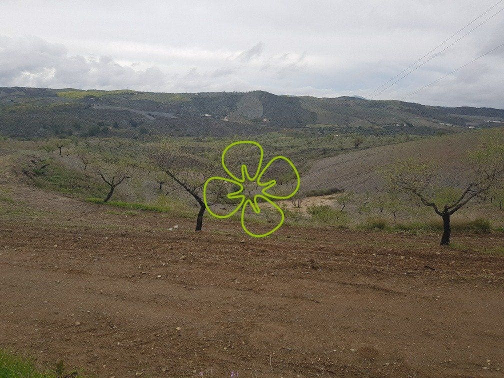 1 slaapkamer Finca/Landhuis te koop in Lorca - € 62.000 (Ref: 4660654)