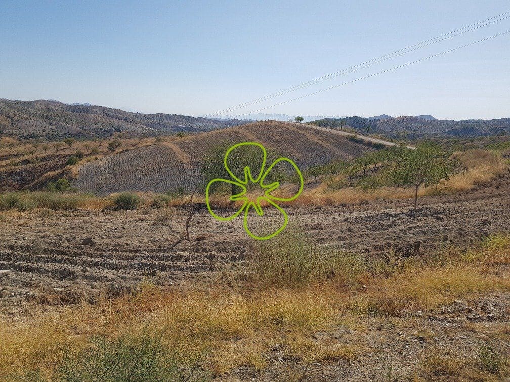 1 slaapkamer Finca/Landhuis te koop in Lorca - € 62.000 (Ref: 4660654)