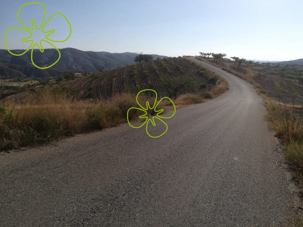 1 slaapkamer Finca/Landhuis te koop in Lorca - € 62.000 (Ref: 4660654)