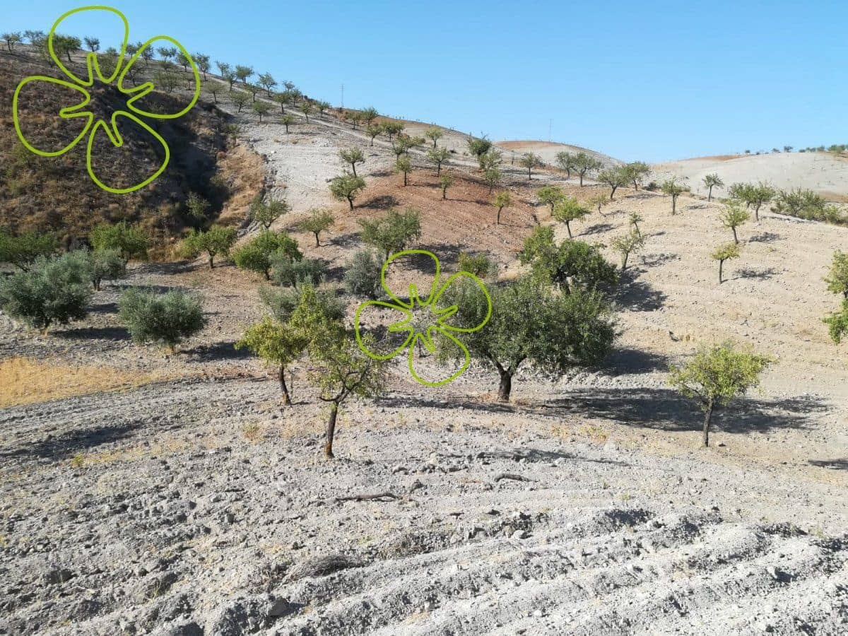 1 slaapkamer Finca/Landhuis te koop in Lorca - € 62.000 (Ref: 4660654)