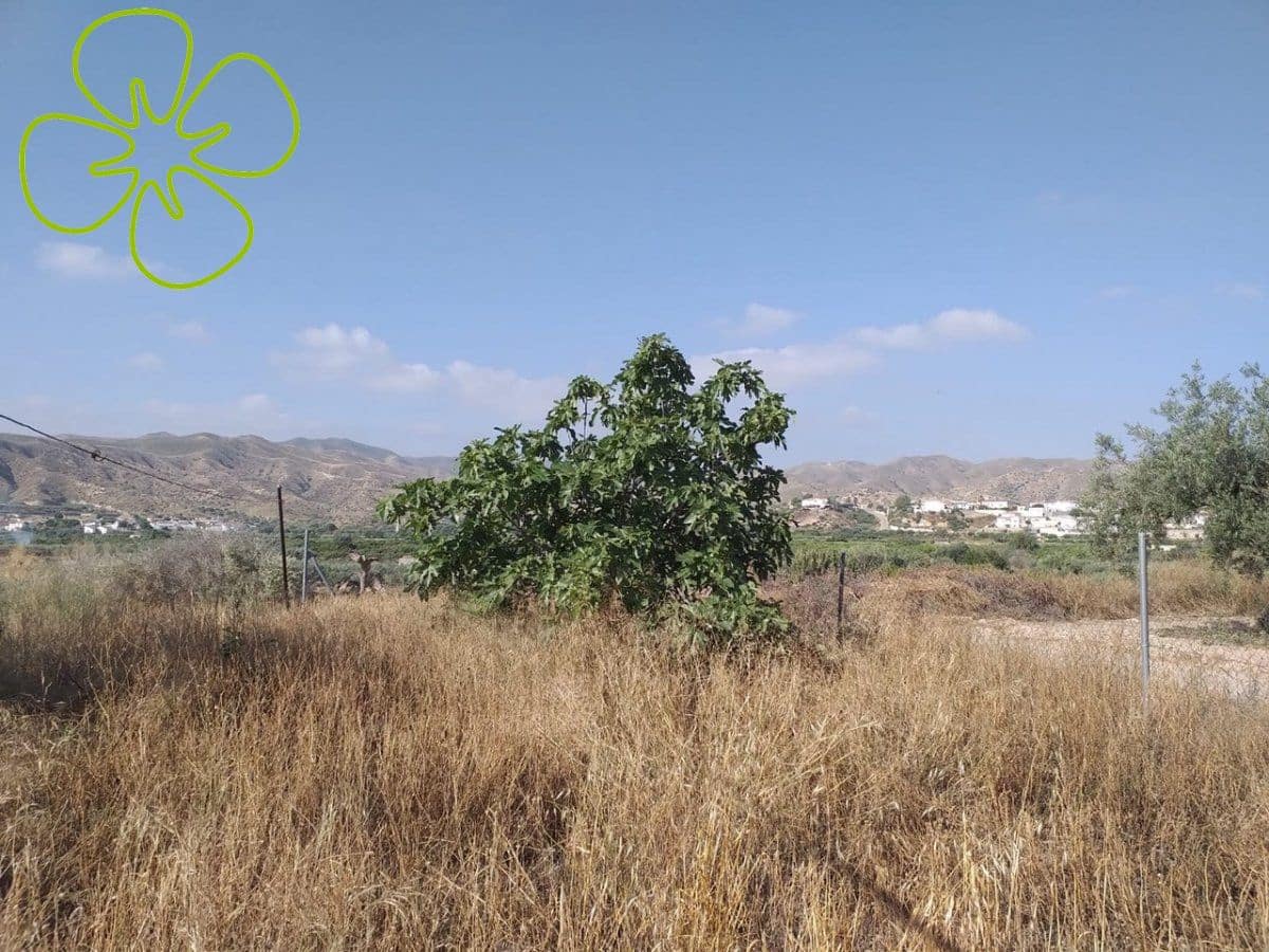 4 soveværelse Finca/Landehus til salg i Arboleas - € 75.000 (Ref: 6190024)