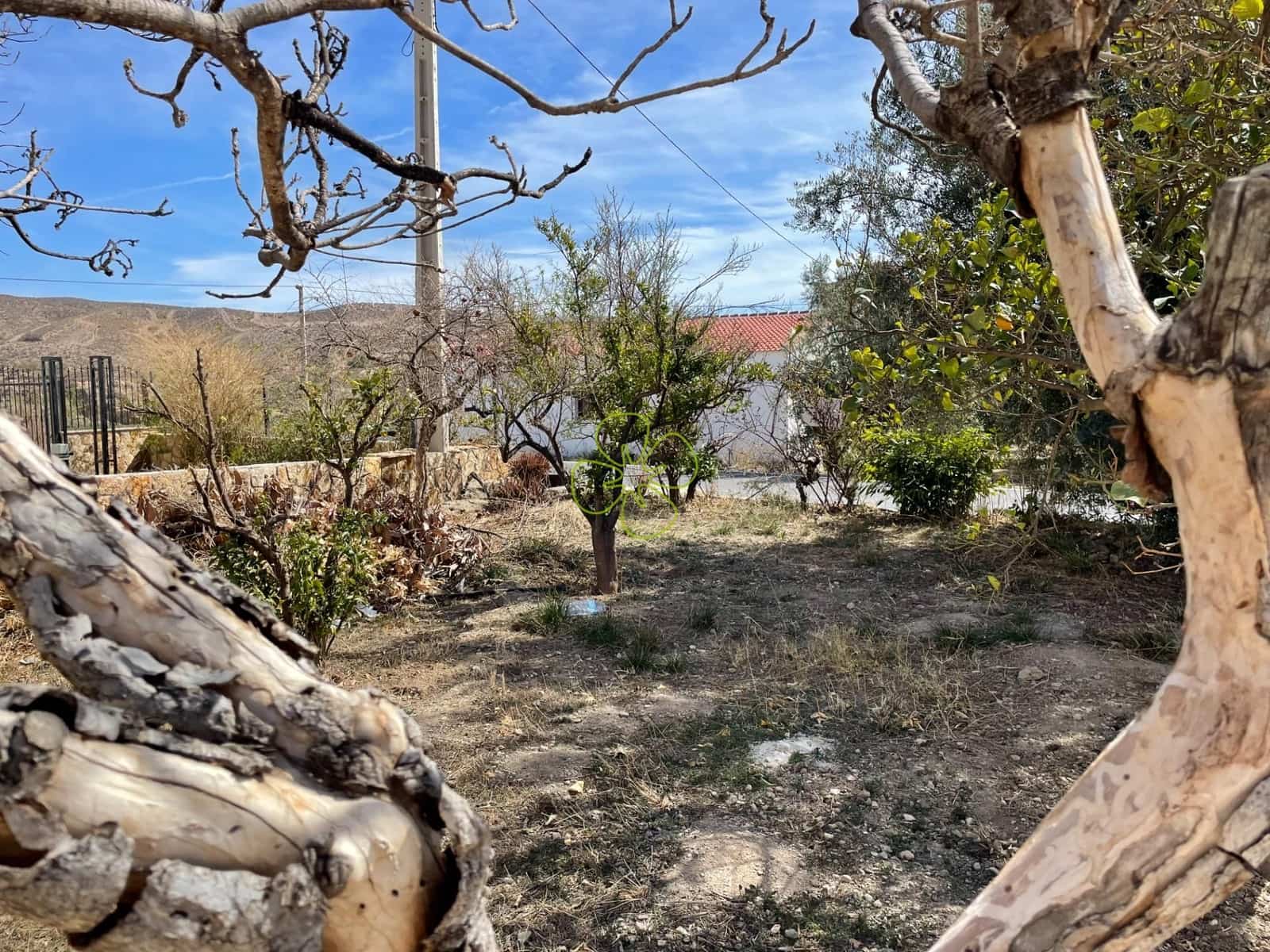 7 soveværelse Finca/Landehus til salg i Albox - € 80.000 (Ref: 7032303)