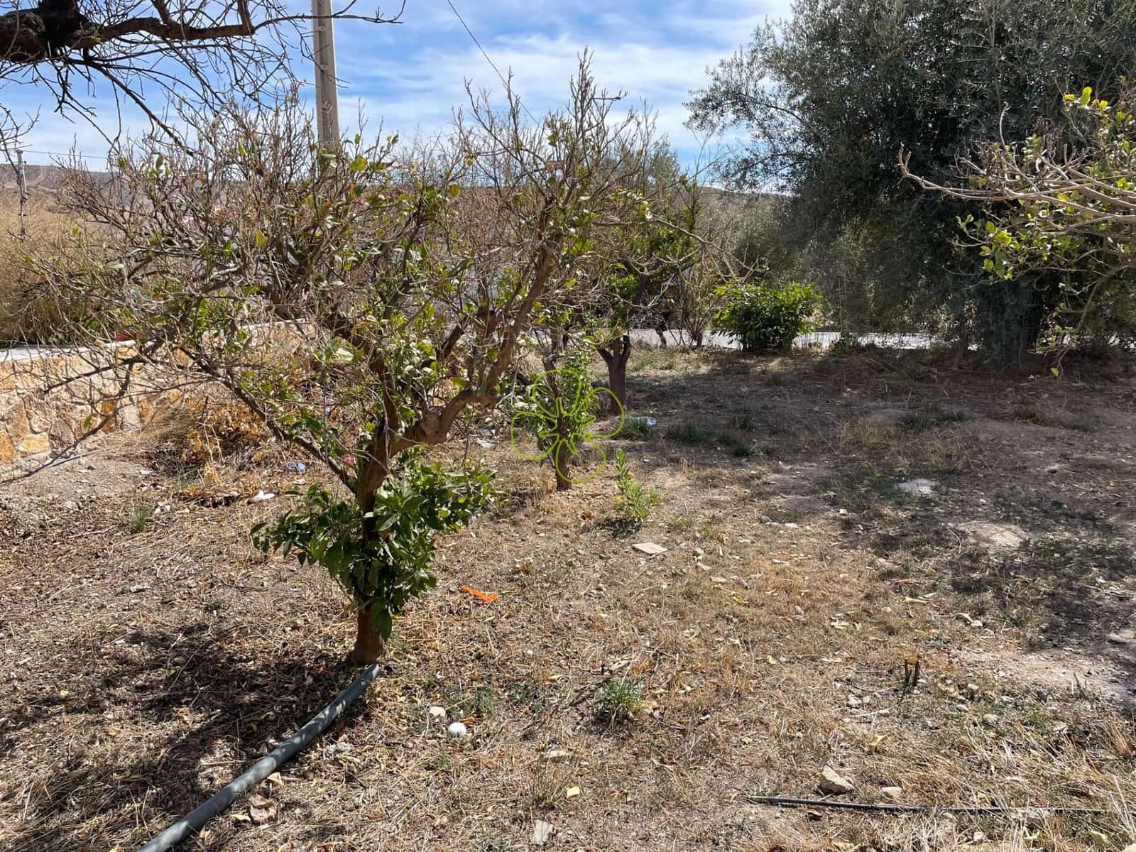 7 soveværelse Finca/Landehus til salg i Albox - € 80.000 (Ref: 7032303)