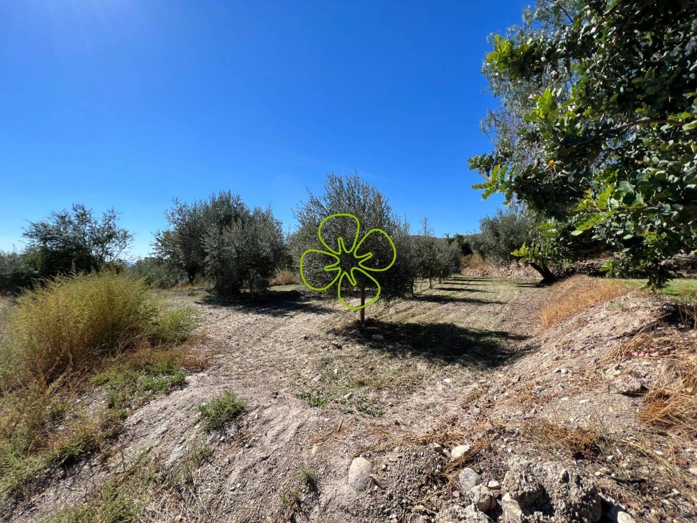 5 soveværelse Finca/Landehus til salg i Pocicas med garage - € 195.000 (Ref: 7167671)