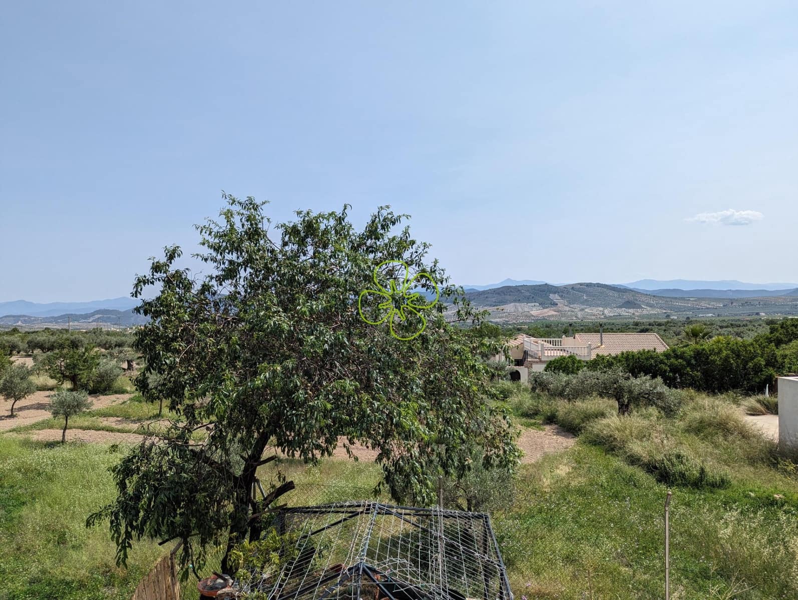 7 slaapkamer Huis te koop in Oria - € 160.000 (Ref: 7675251)