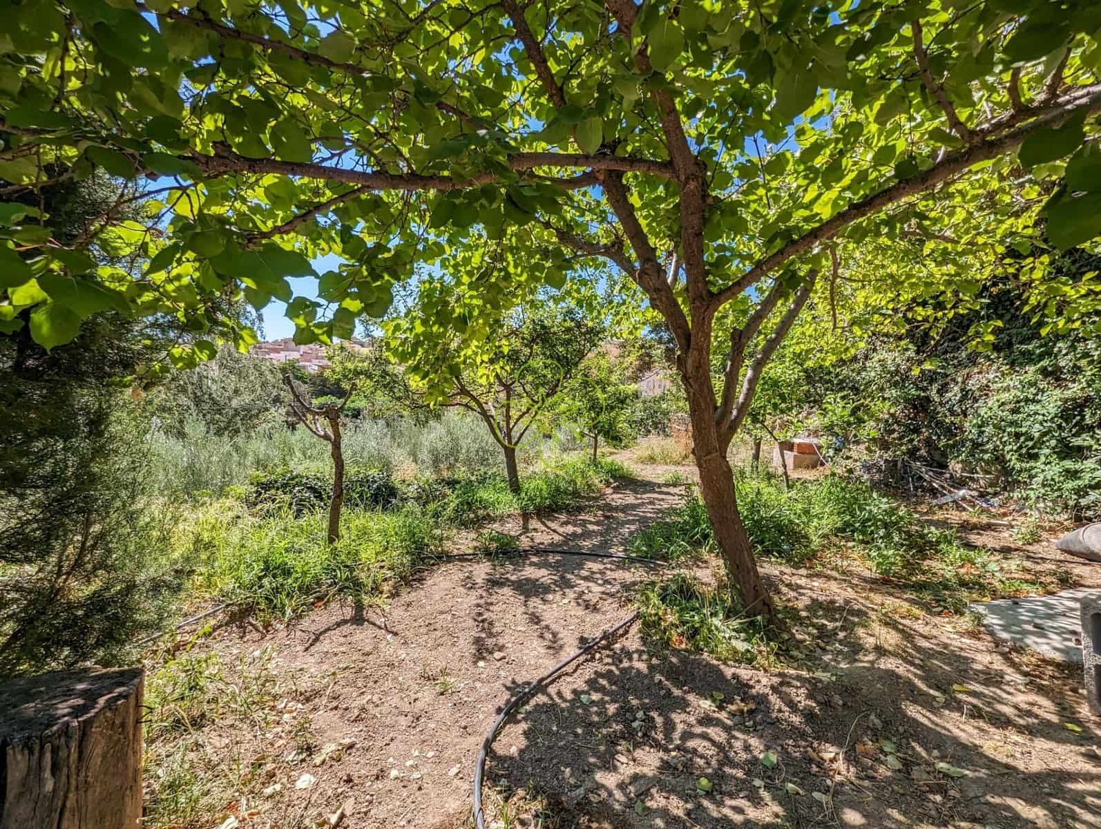 3 soveværelse Finca/Landehus til salg i Macael med swimmingpool garage - € 224.995 (Ref: 7729791)