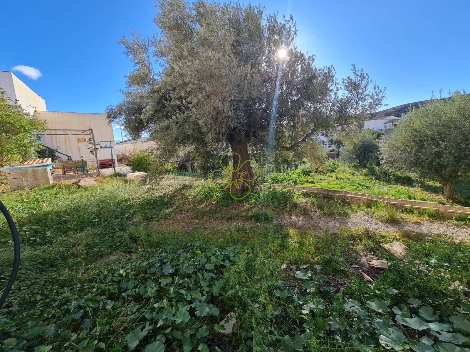 4 slaapkamer Huis te koop in Albox - € 65.000 (Ref: 9330826)