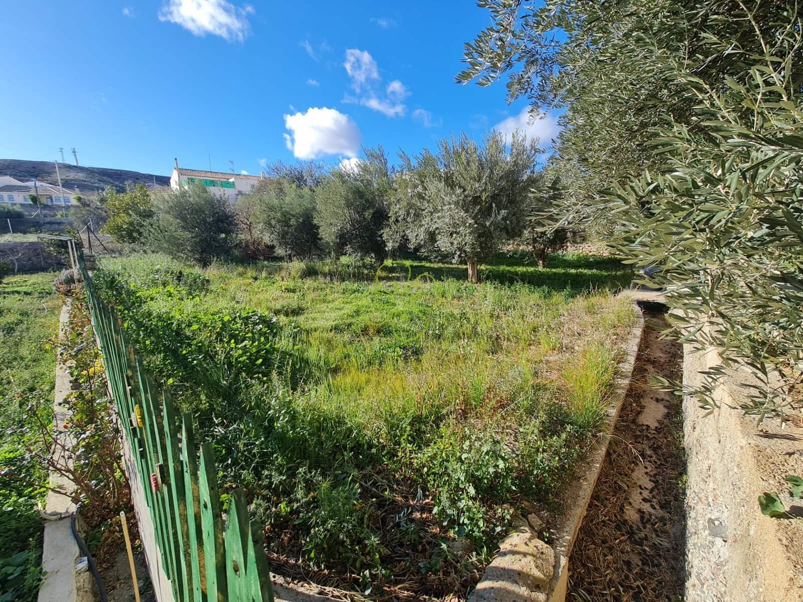 4 slaapkamer Huis te koop in Albox - € 65.000 (Ref: 9330826)