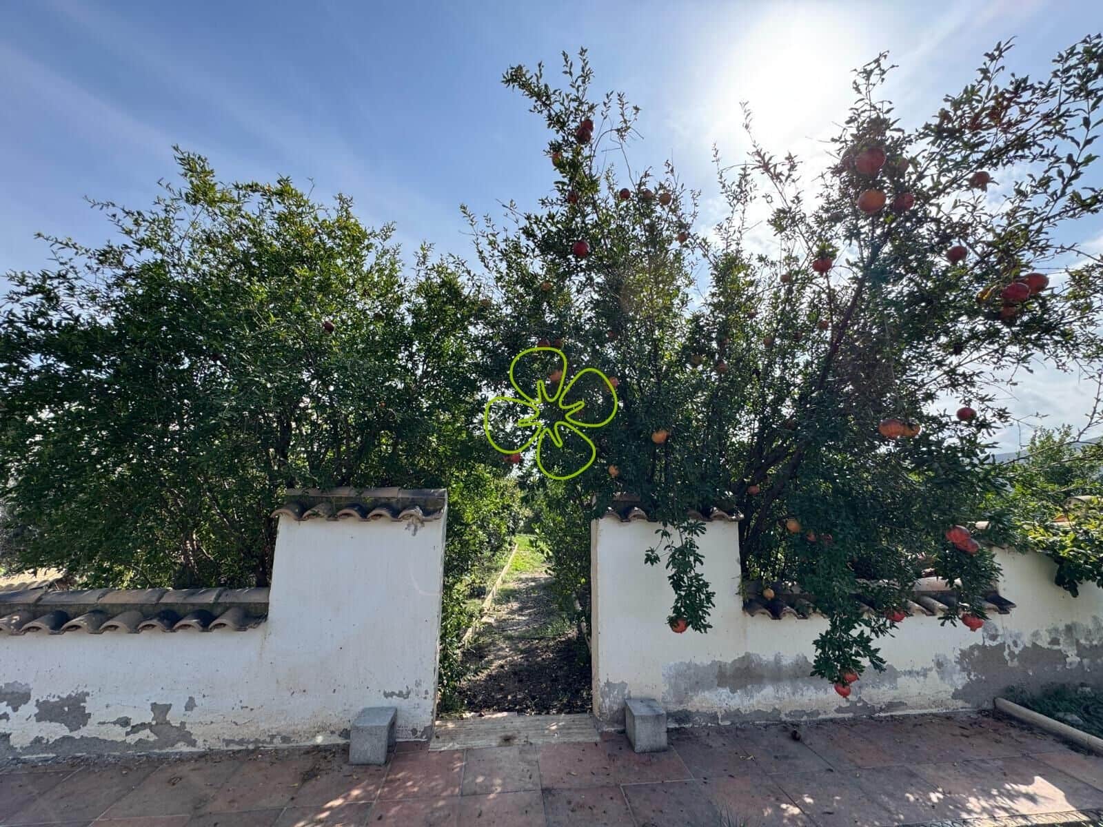 5 camera da letto Finca/Casa di Campagna in vendita in Cantoria - 219.990 € (Rif: 9335185)