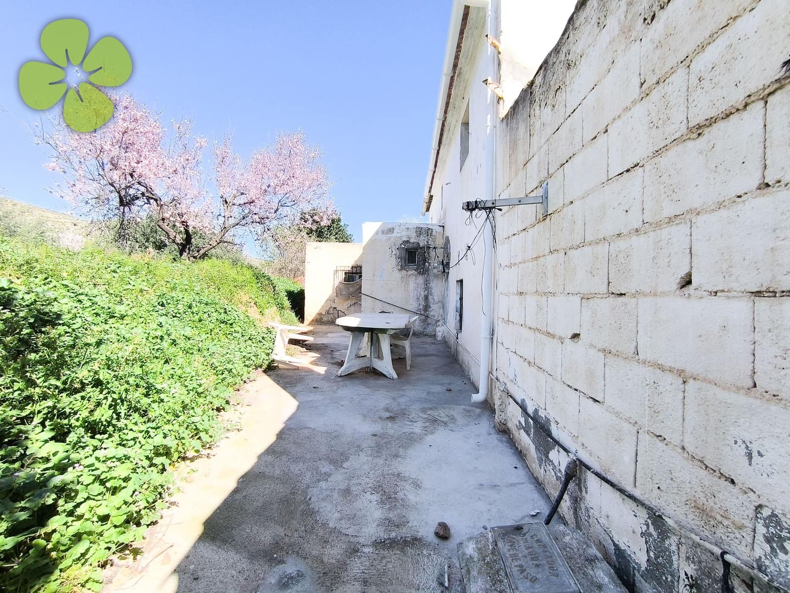 7 bedroom Finca/Country House for sale in Cantoria - € 199,999 (Ref: 9618216)