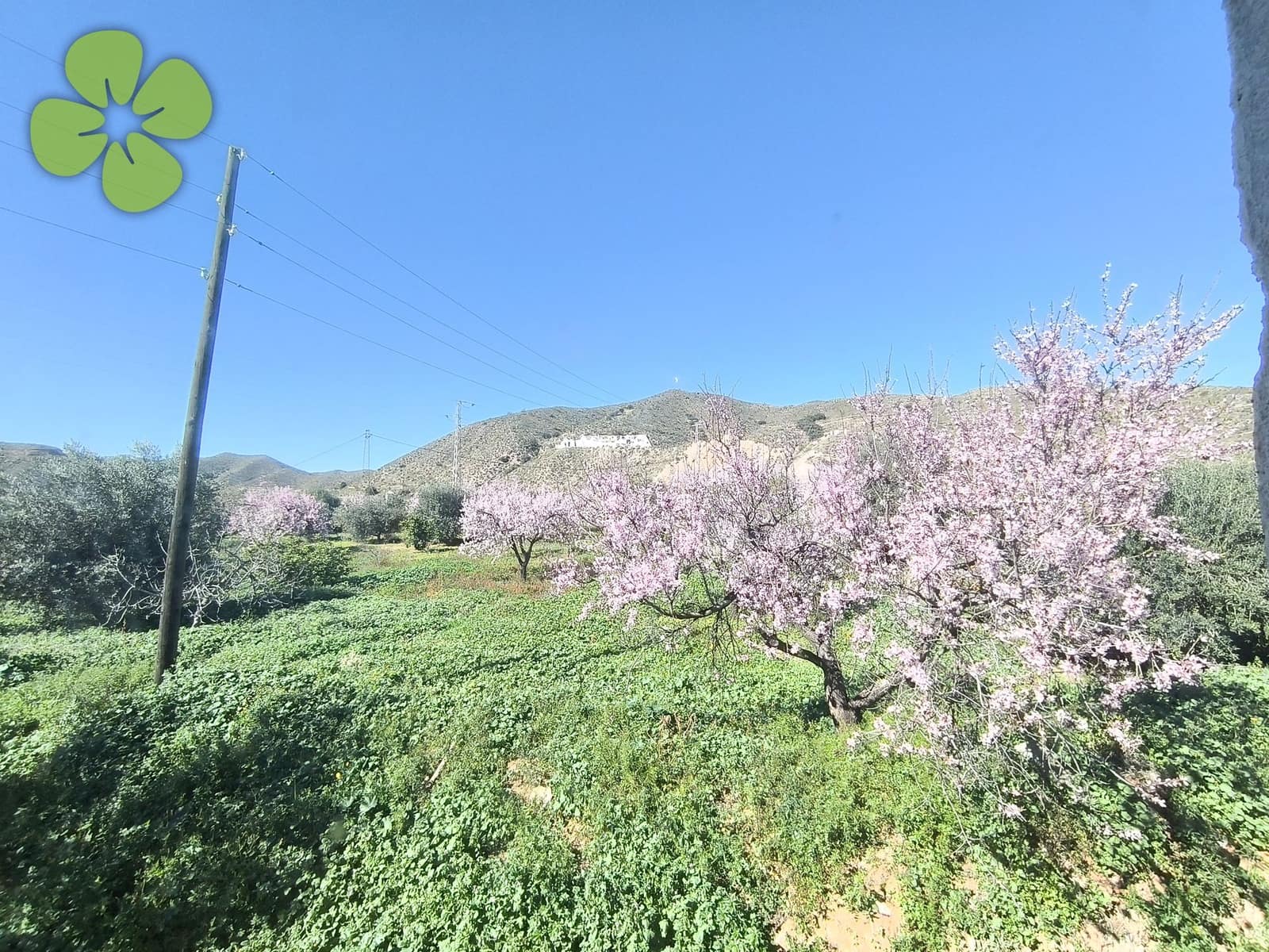 7 bedroom Finca/Country House for sale in Cantoria - € 199,999 (Ref: 9618216)