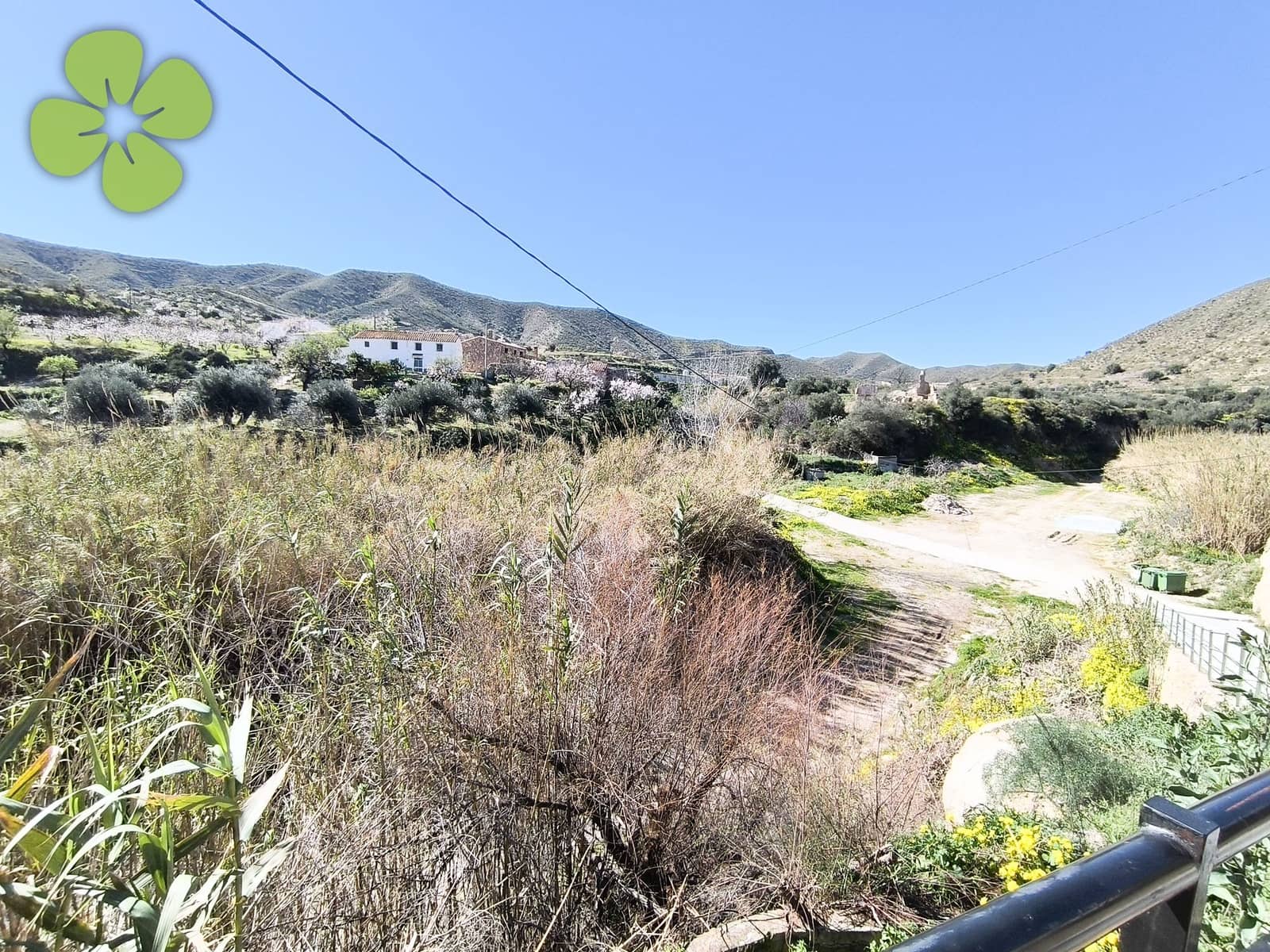 7 bedroom Finca/Country House for sale in Cantoria - € 199,999 (Ref: 9618216)