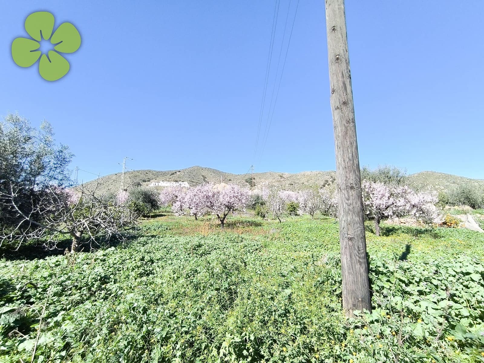 7 bedroom Finca/Country House for sale in Cantoria - € 199,999 (Ref: 9618216)