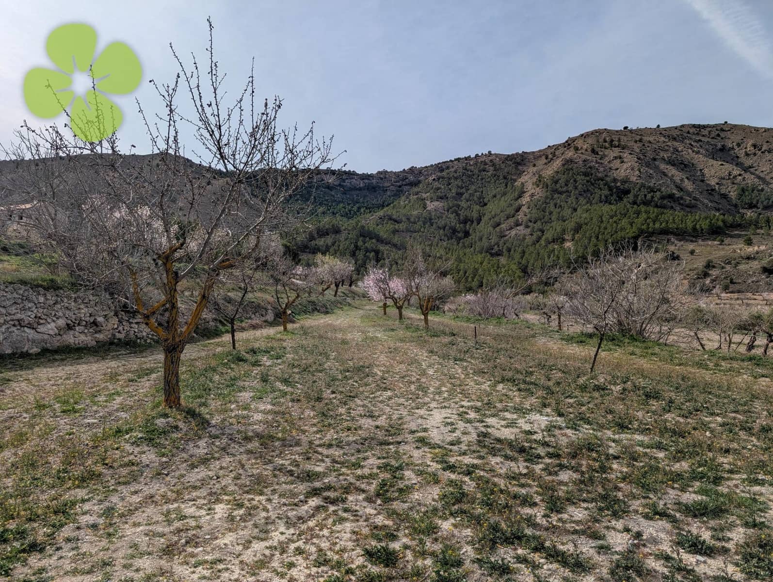 3 soverom Finca/Herregård til salgs i Oria - € 104 995 (Ref: 9618220)