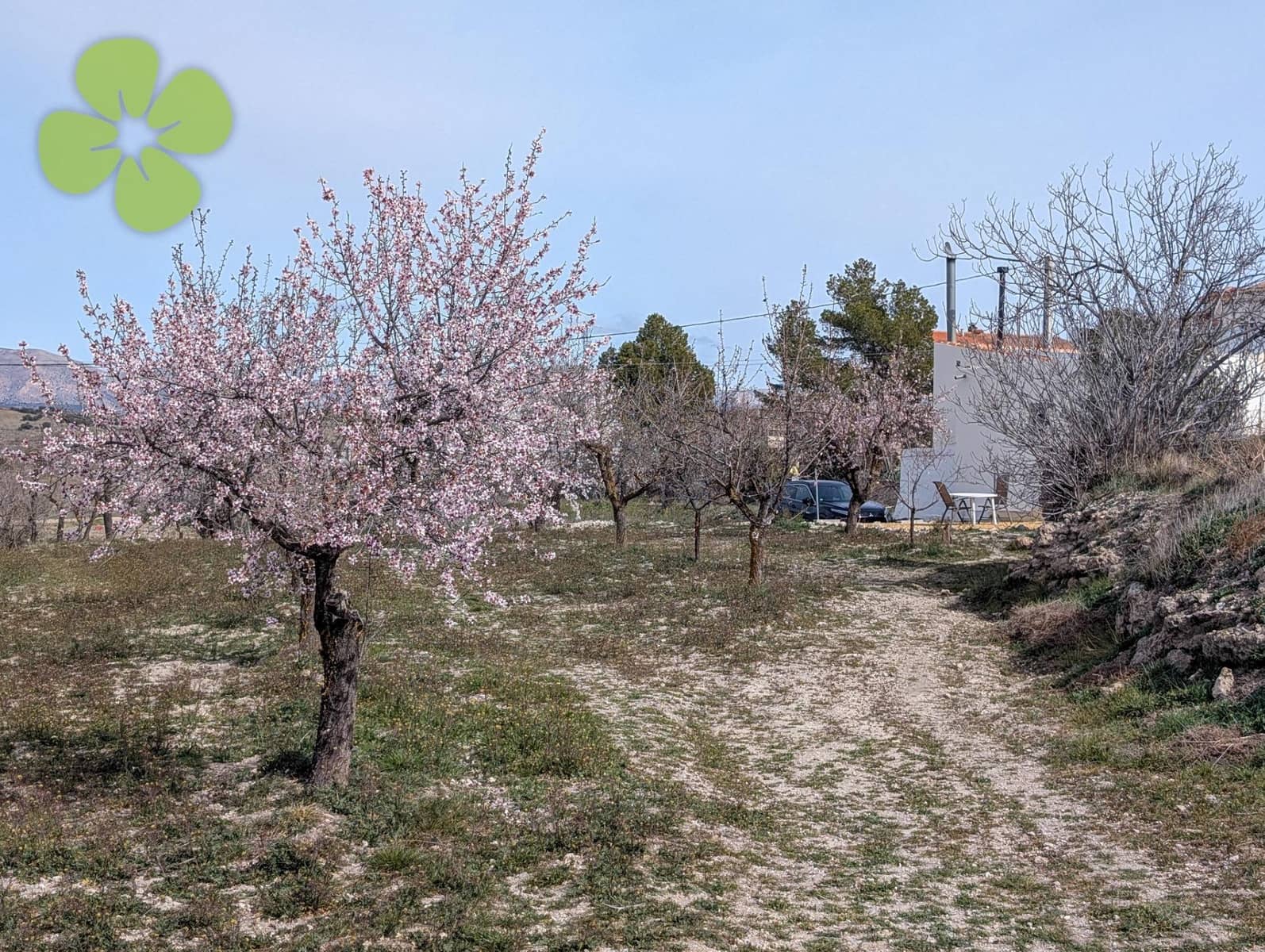 3 soverom Finca/Herregård til salgs i Oria - € 104 995 (Ref: 9618220)