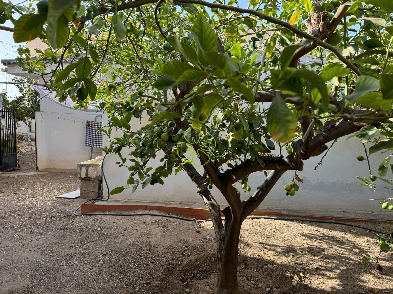 4 bedroom Townhouse for sale in Zurgena - € 155,000 (Ref: 9618261)