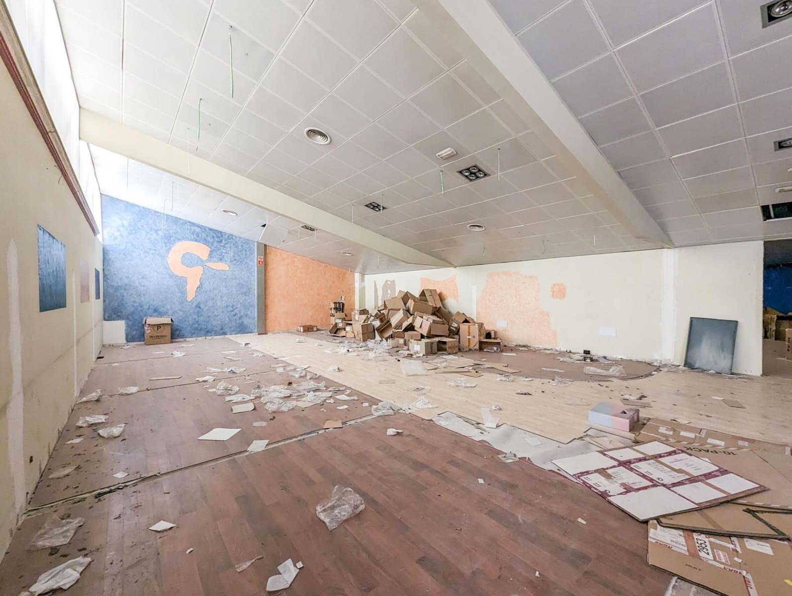 Commercial for sale in Albox - € 250,000 (Ref: 9618303)