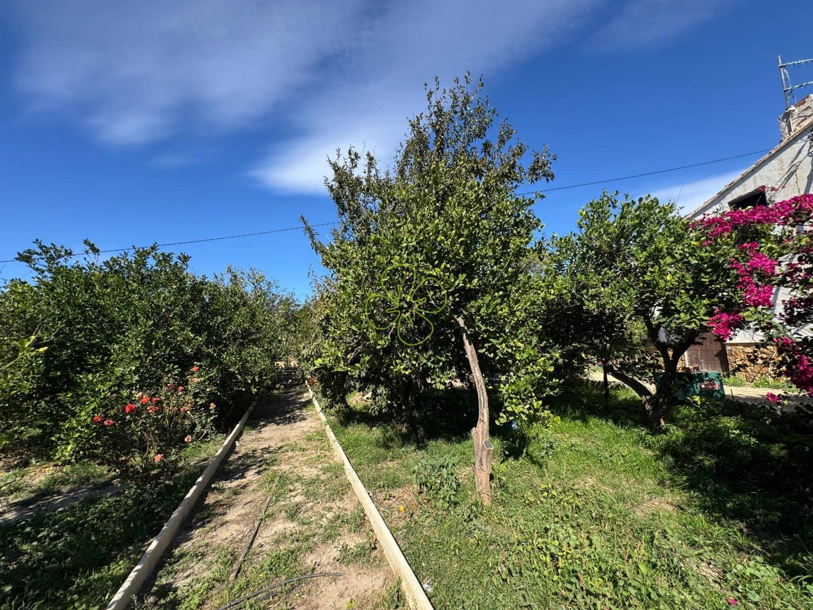 5 Zimmer Finca/Landgut zu verkaufen in Cantoria - 219.990 € (Ref: 9618308)