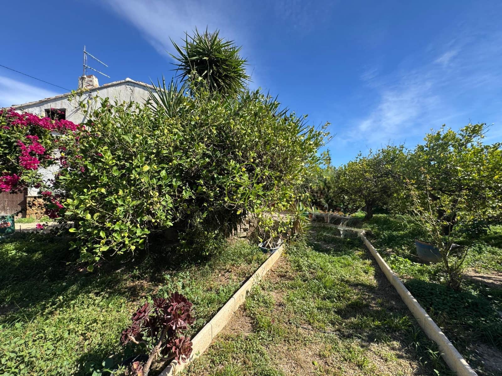 5 Zimmer Finca/Landgut zu verkaufen in Cantoria - 219.990 € (Ref: 9618308)