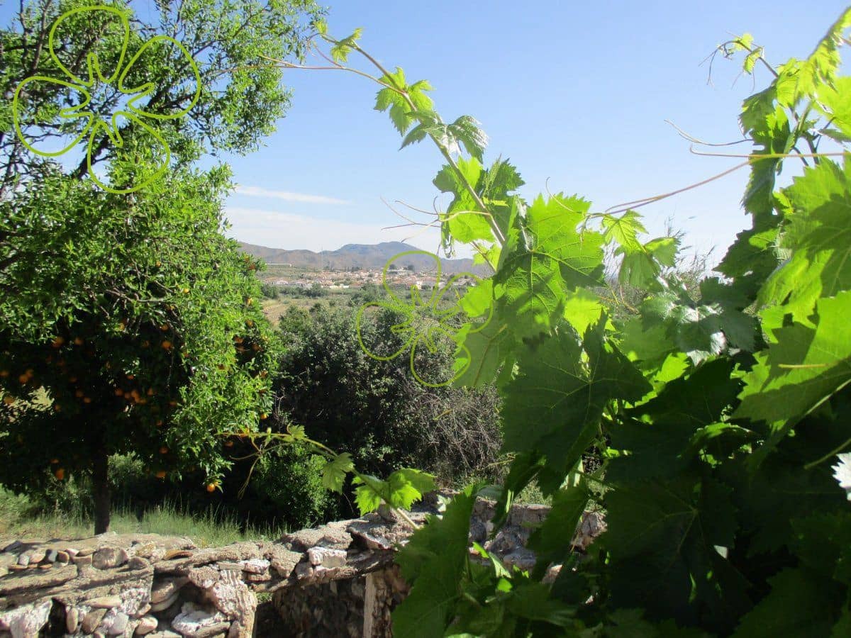 2 bedroom Finca/Country House for sale in Arboleas - € 99,990 (Ref: 9618331)