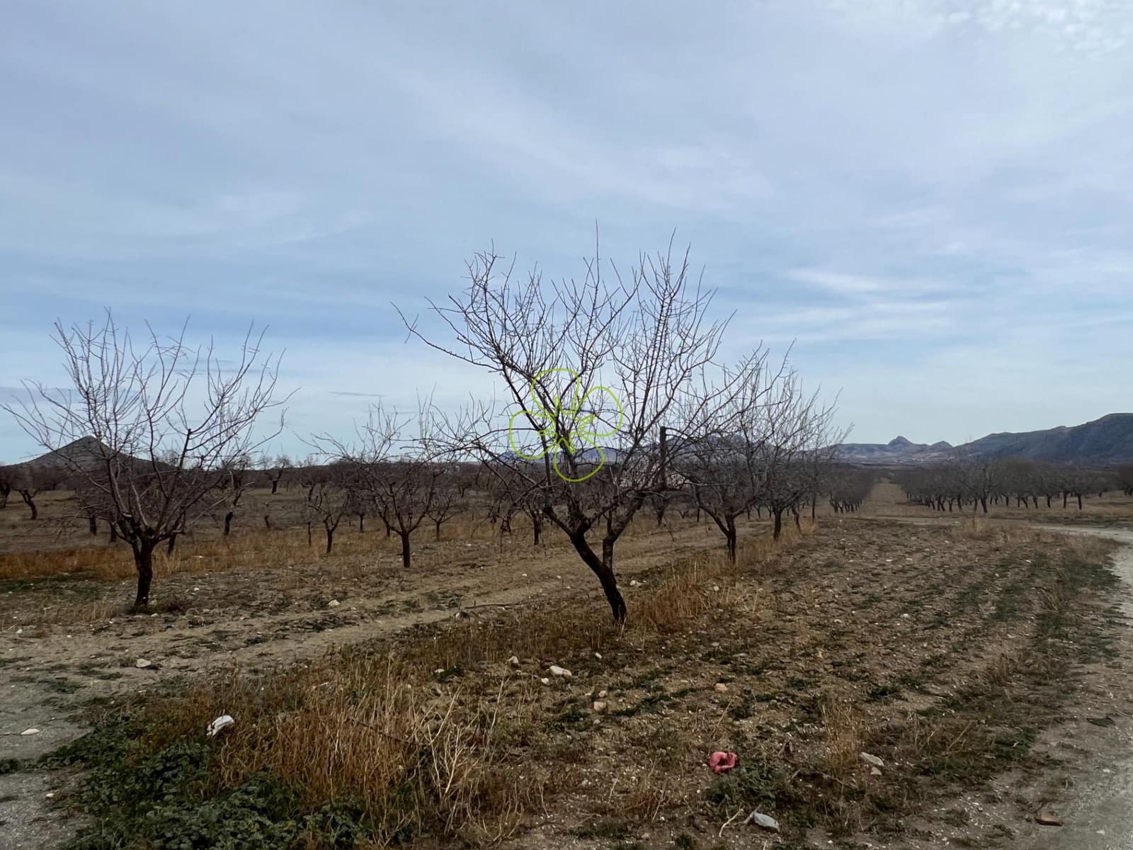 4 soveværelse Finca/Landehus til salg i Oria - € 64.990 (Ref: 9618341)