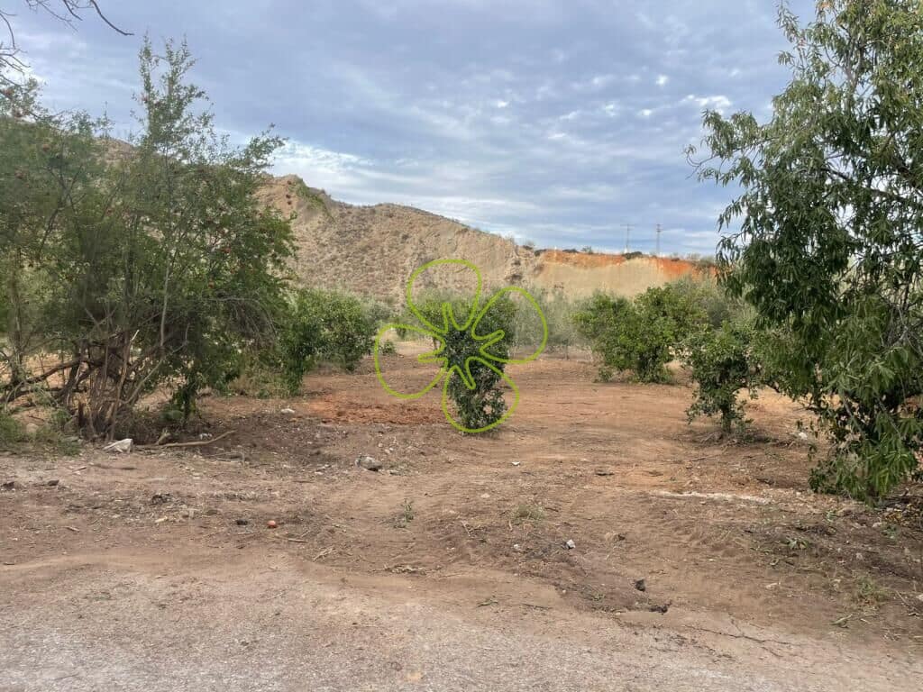 2 bedroom Finca/Country House for sale in Cantoria - € 23,000 (Ref: 9618354)