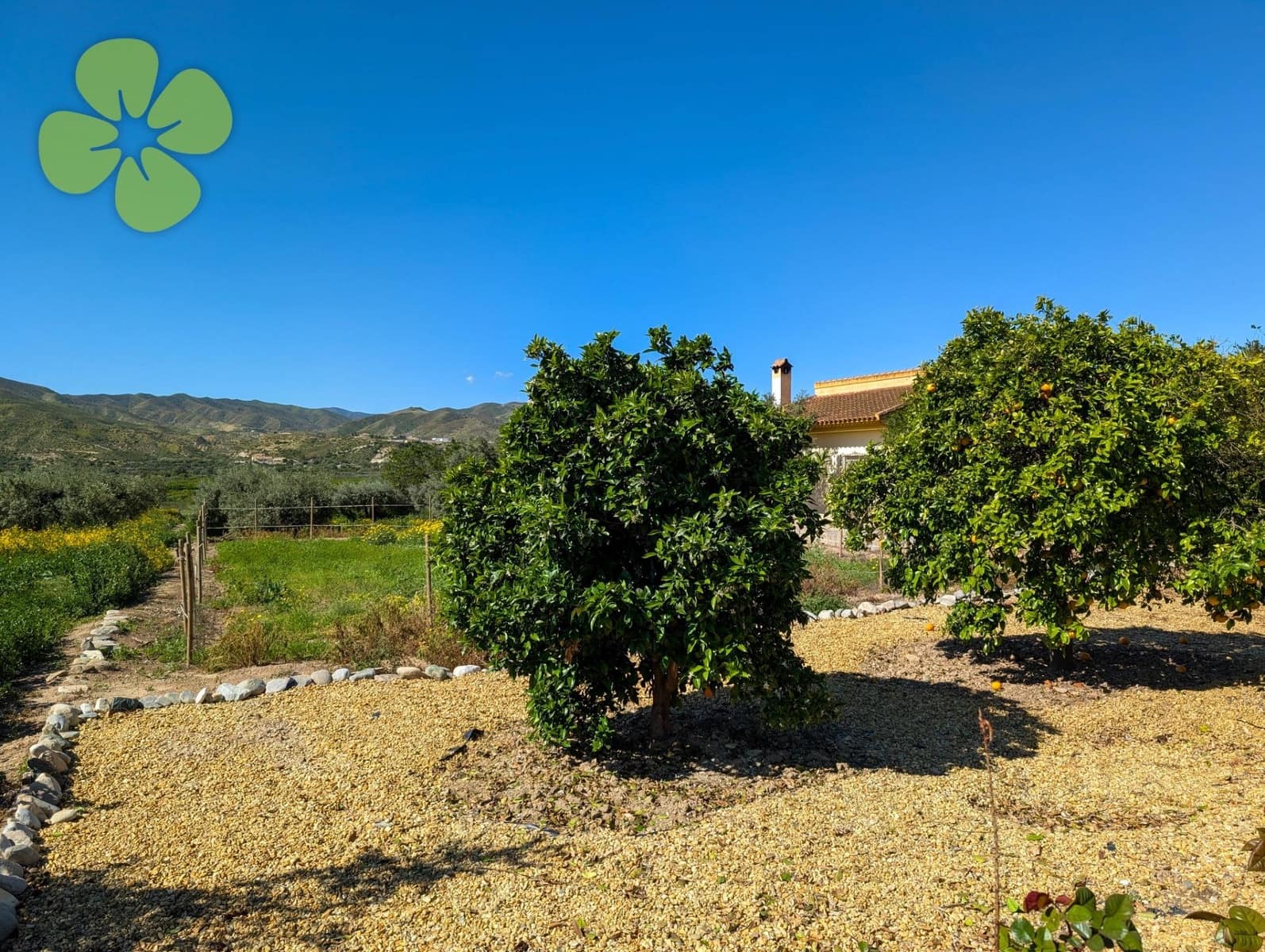 8 bedroom Finca/Country House for sale in Arboleas - € 199,950 (Ref: 9618372)