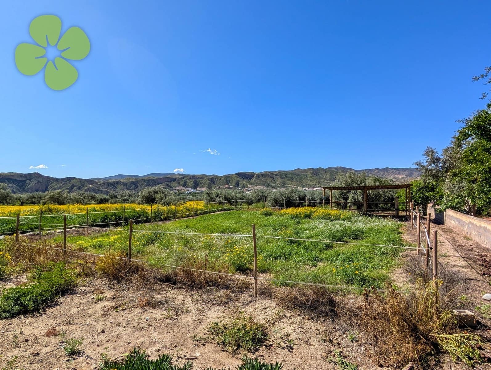 8 bedroom Finca/Country House for sale in Arboleas - € 199,950 (Ref: 9618372)