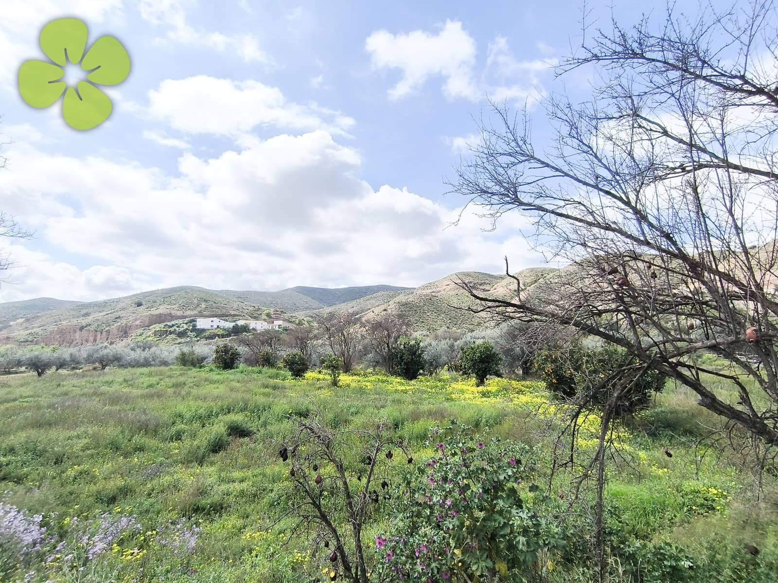 6 soveværelse Finca/Landehus til salg i Albox - € 149.950 (Ref: 9713585)