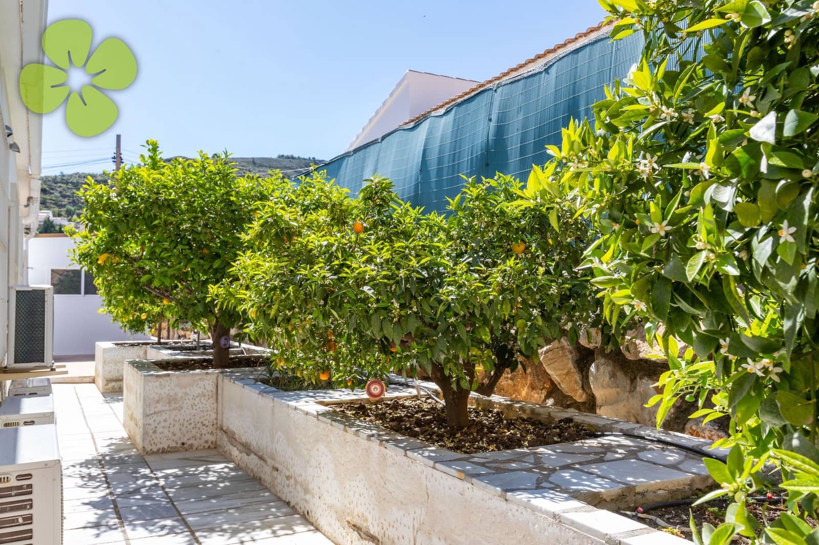 3 bedroom Villa for sale in Albanchez with pool - € 299,000 (Ref: 9774321)