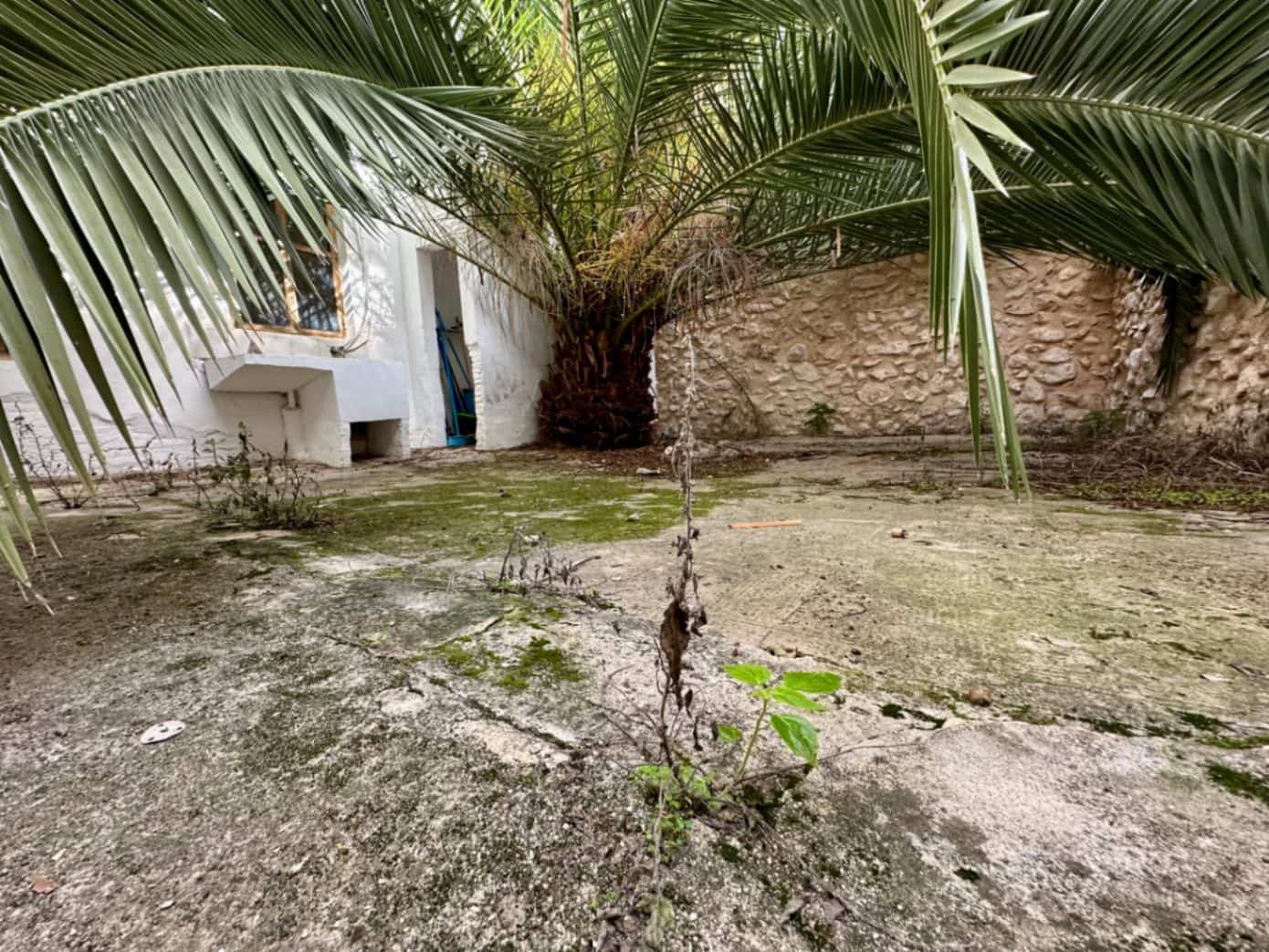 10 sypialnia Dom na sprzedaż w Pego - 265 000 € (Ref: 10004796)