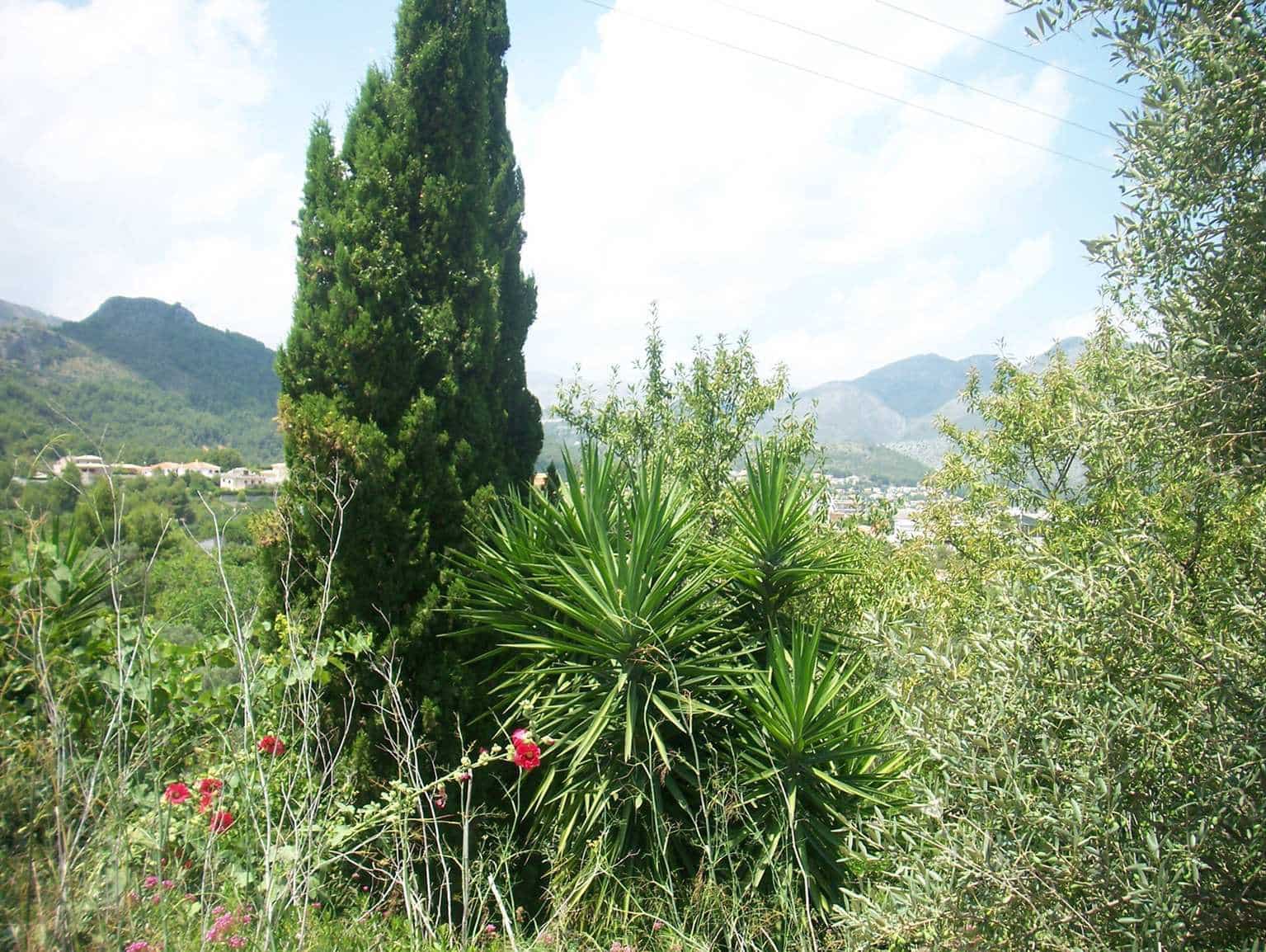 Byggegrund til salg i Orba - € 80.000 (Ref: 1093230)