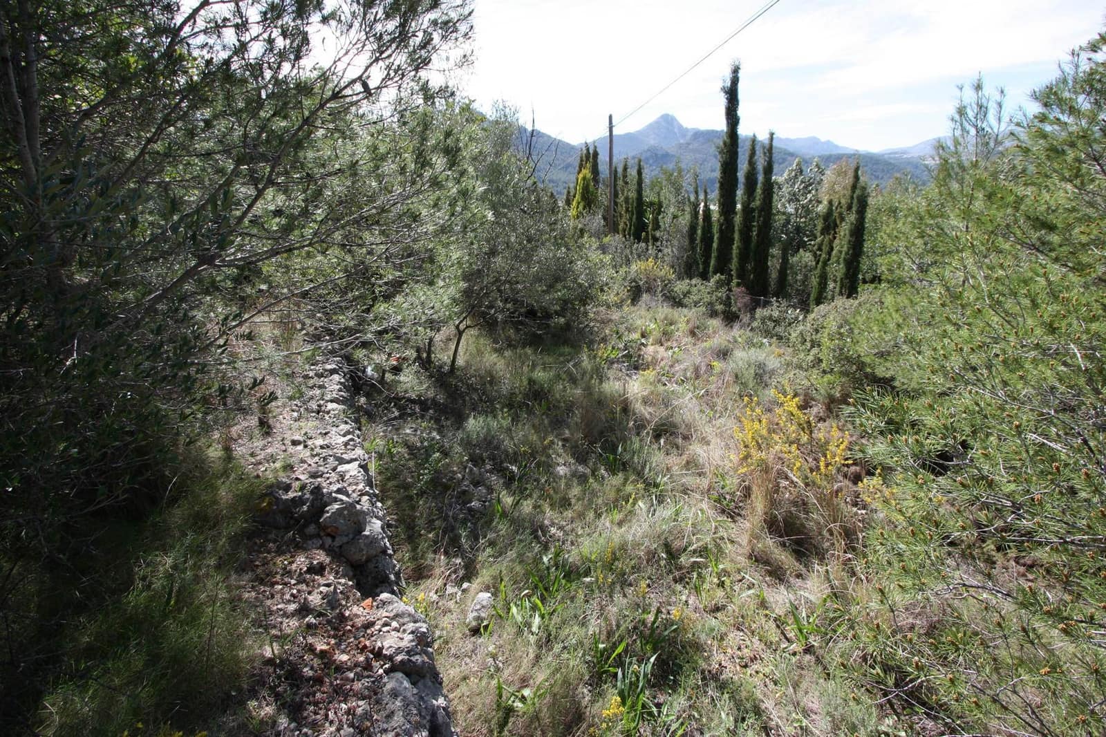 Area Edificabile in vendita in Orba - 95.000 € (Rif: 4288958)