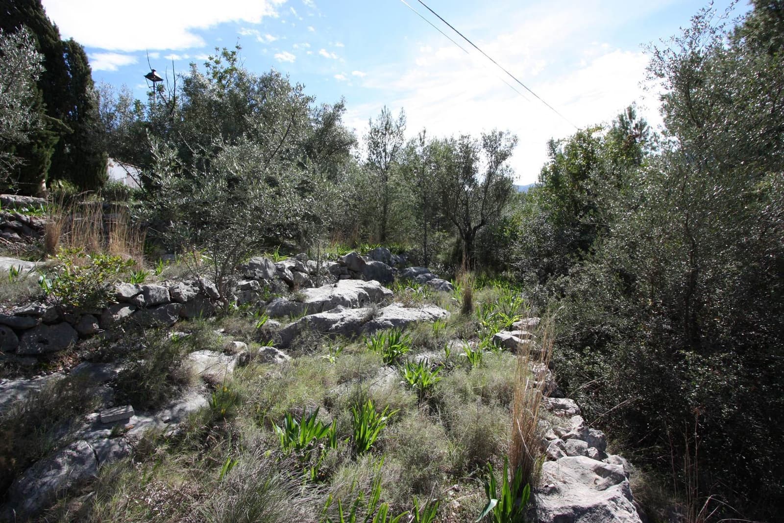 Area Edificabile in vendita in Orba - 95.000 € (Rif: 4288958)