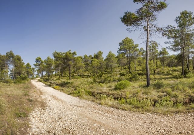 Building Plot for sale in Beniaya, La Vall d'Alcalà - € 110,000 (Ref: 4288995)