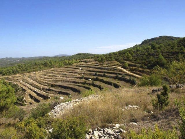 Building Plot for sale in Beniaya, La Vall d'Alcalà - € 110,000 (Ref: 4288995)