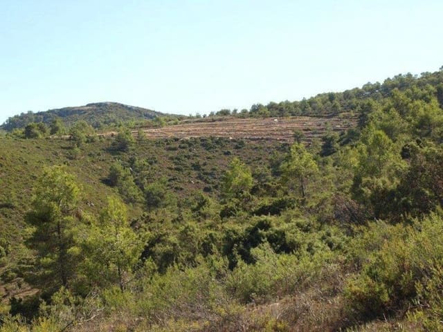 Building Plot for sale in Beniaya, La Vall d'Alcalà - € 110,000 (Ref: 4288995)