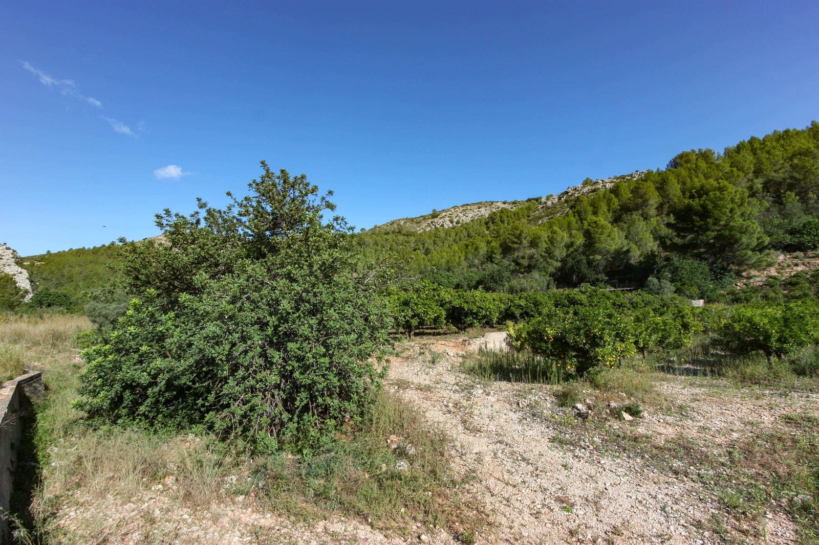 Terrain à Bâtir à vendre à Sagra - 120 000 € (Ref: 4949616)