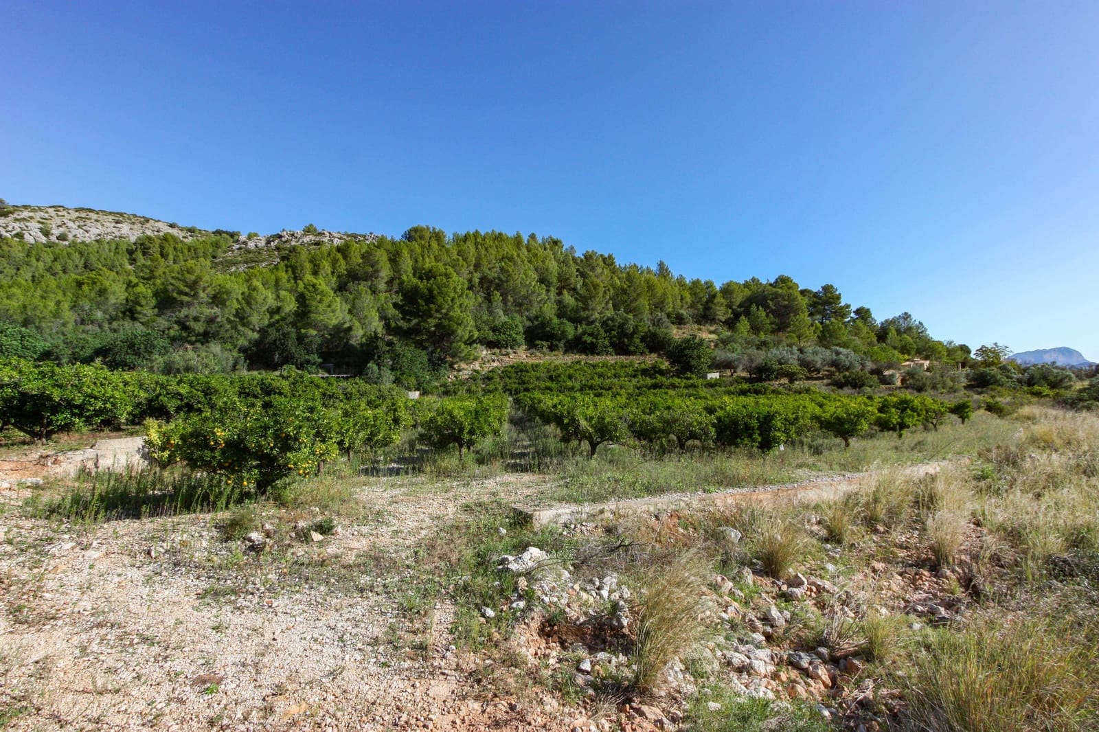 Terrain à Bâtir à vendre à Sagra - 120 000 € (Ref: 4949616)