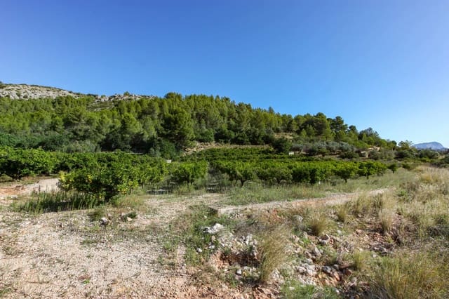 Bouwgrond te koop in Sagra - € 120.000 (Ref: 4949616)