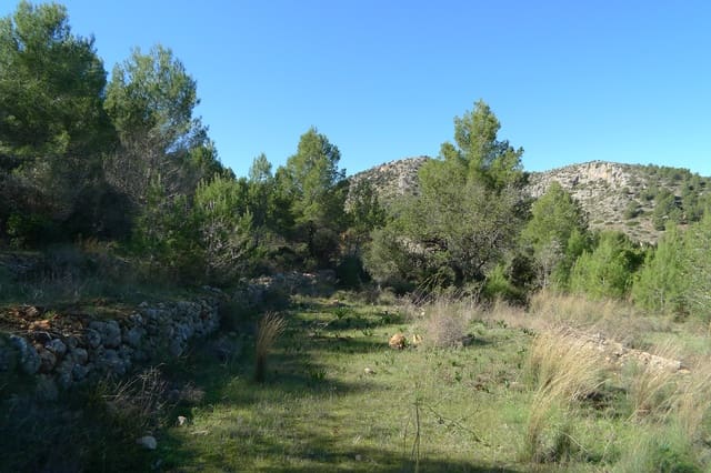 Bouwgrond te koop in Jalón / Xaló - € 160.000 (Ref: 6517997)