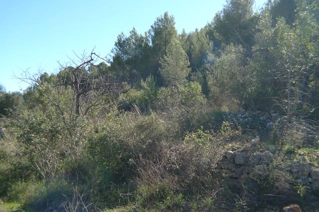 Bouwgrond te koop in Jalón / Xaló - € 160.000 (Ref: 6517997)