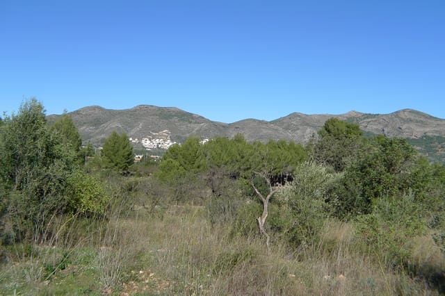 Bouwgrond te koop in Jalón / Xaló - € 160.000 (Ref: 6517997)