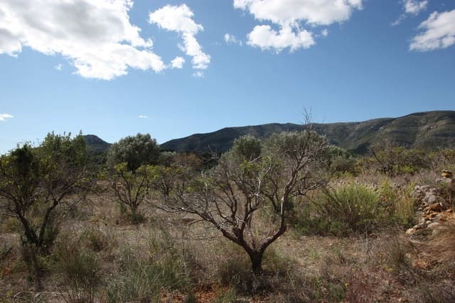 Building Plot for sale in Murla - € 220,000 (Ref: 6575170)