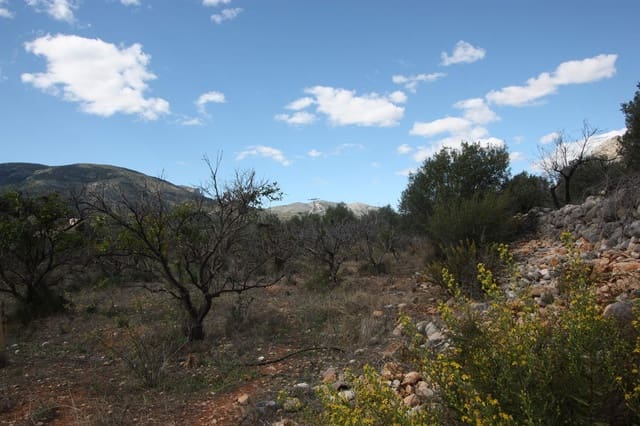 Building Plot for sale in Murla - € 220,000 (Ref: 6575170)