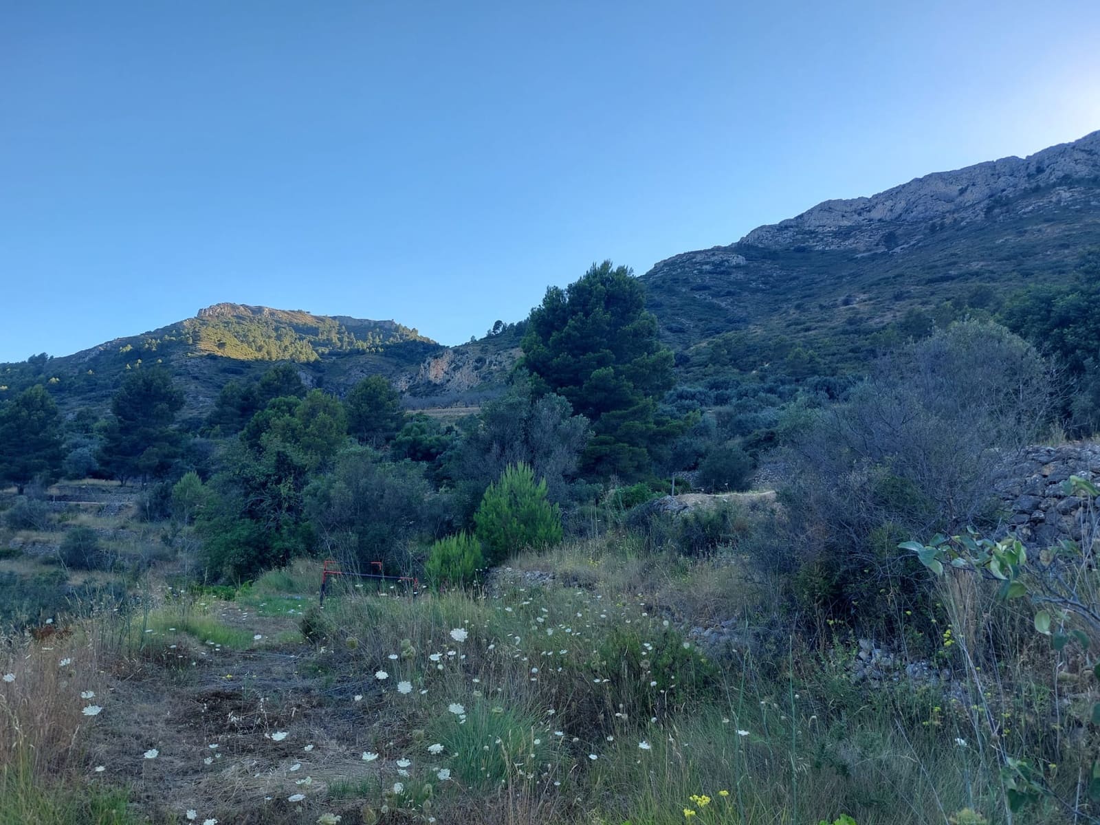 Byggegrund til salg i Jalon / Xalo - € 149.000 (Ref: 7435161)