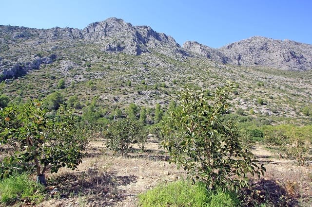 Bouwgrond te koop in Beniarbeig - € 165.000 (Ref: 7747674)